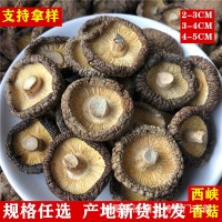 新貨西峽香菇干貨500g飯店餐飲散裝批發(fā)無根冬菇黃燜雞花菇香菇干
