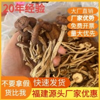 福建古田干茶樹(shù)菇不開(kāi)傘干貨菌菇500g袋裝茶薪菇食用菌菇產(chǎn)地批發(fā)