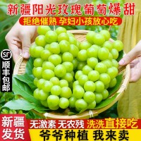 新疆陽(yáng)光玫瑰葡萄應(yīng)季新鮮水果現(xiàn)摘青提子勝無(wú)核白玻璃脆順豐包郵