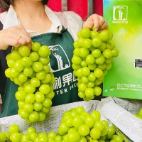 順豐包郵5.5斤禮盒裝云南青印晴王陽(yáng)光玫瑰青提葡萄新鮮水果香印