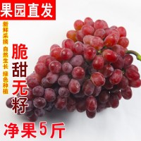 順豐包郵克倫生葡萄新鮮新疆無(wú)籽紅提小蜜蜂紅寶石脆甜無(wú)核2斤