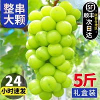 陽(yáng)光玫瑰葡萄晴王水果新鮮應(yīng)當(dāng)季整箱禮盒香印青提子2斤1斤順