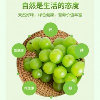 10斤現(xiàn)貨晴王云南陽(yáng)光玫瑰青提子葡萄新鮮無(wú)籽水果非巨峰日本香印