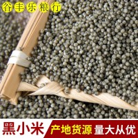 產(chǎn)地貨源批發(fā)當(dāng)季黑小米 月子米煮粥五谷雜糧粗糧袋裝50斤
