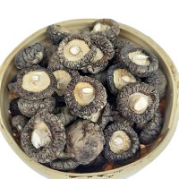 新貨 大香菇 剪腳土特產(chǎn)農(nóng)家 金錢菇 干貨一手貨源大量批發(fā) 香菇