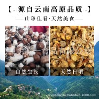 姬松茸干貨云南特產(chǎn)無硫煲湯好食材當(dāng)季新貨源頭工廠批發(fā)一件代發(fā)