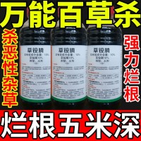 萬能百草殺鹽除草草安草銨磷草胺磷除牛筋草小飛蓬農(nóng)藥強(qiáng)力除草劑
