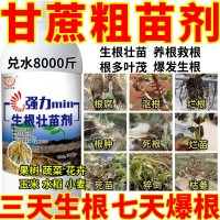 甘蔗進(jìn)口生根粉生根壯苗劑速效生根液大樹移栽植苗木扦插月季果樹