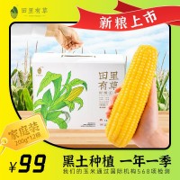 田里有草玉米廠家甜糯玉米批發(fā)即食玉米真空玉米招代理一件代發(fā)