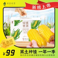田里有草玉米禮盒裝甜糯玉米產(chǎn)地批發(fā)即食真空玉米招代理一件代發(fā)