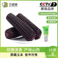 山西雜糧之都黑糯玉米BALLON REAR貝朗熊 黑糯玉米穗真空包裝220g