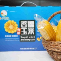 鑫依然香真空黃糯玉米源頭貨源廠家批發(fā)東北黃糯玉米批發(fā)