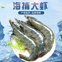 海水大蝦鮮活海鮮超大青島海蝦冷凍白蝦凍蝦商用整箱批發(fā)基圍蝦