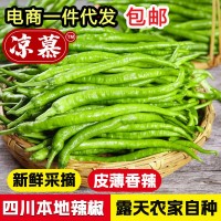 新鮮青辣椒青線椒薄皮辣椒尖椒二荊條辣椒5斤現(xiàn)摘蔬菜辣椒長線椒