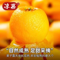 涼慕四川清甜米易枇杷新鮮應(yīng)季時(shí)令水果批發(fā)枇杷孕婦水果甜糯枇杷