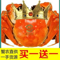 陽(yáng)澄湖鎮(zhèn)大閘蟹鮮活正宗螃蟹可代發(fā)批發(fā)蟹卡禮券提貨卡活蟹未激活
