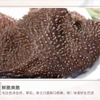 牛百葉新鮮火鍋食材毛肚 百葉 鮮毛肚鮮葉片大葉片黑毛肚廠家直銷