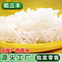 【25kg裝】原生態(tài)農(nóng)家稻谷長粒香米25kg家用軟糯貓牙絲苗米粥米