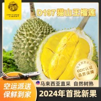 馬來(lái)西亞D197貓山王榴蓮整果 液氮冷凍果水果一件代發(fā)團(tuán)購(gòu)