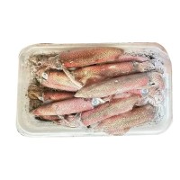 廠家直供東山島本港野生小管魷魚大管中管活凍小管小魷魚燈光魷魚