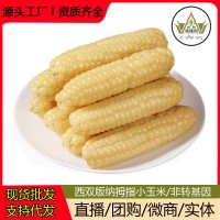 云南西雙版納拇指玉米新鮮真空手指小玉米迷你現(xiàn)摘甜白香糯寶寶餐