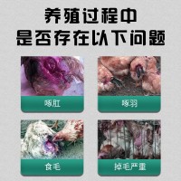 家禽通用 袋裝2kg金微寶 庫存充裕禽用微量元素預(yù)混合飼料