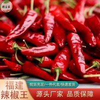 福建辣椒王猛辣型耐煮王中王辣椒鹵鴨脖鴨貨鹵菜朝天椒辣椒王500g