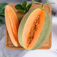 哈密瓜