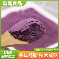 廠家批發(fā)紫薯粉 面條水餃饅頭等烘焙面食代餐粉添加熟紫薯粉