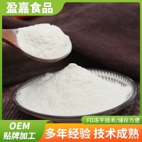 蘋果粉 水溶性蘋果粉 蘋果醋粉 蘋果果粉 蘋果汁粉 蘋果果汁 現(xiàn)貨