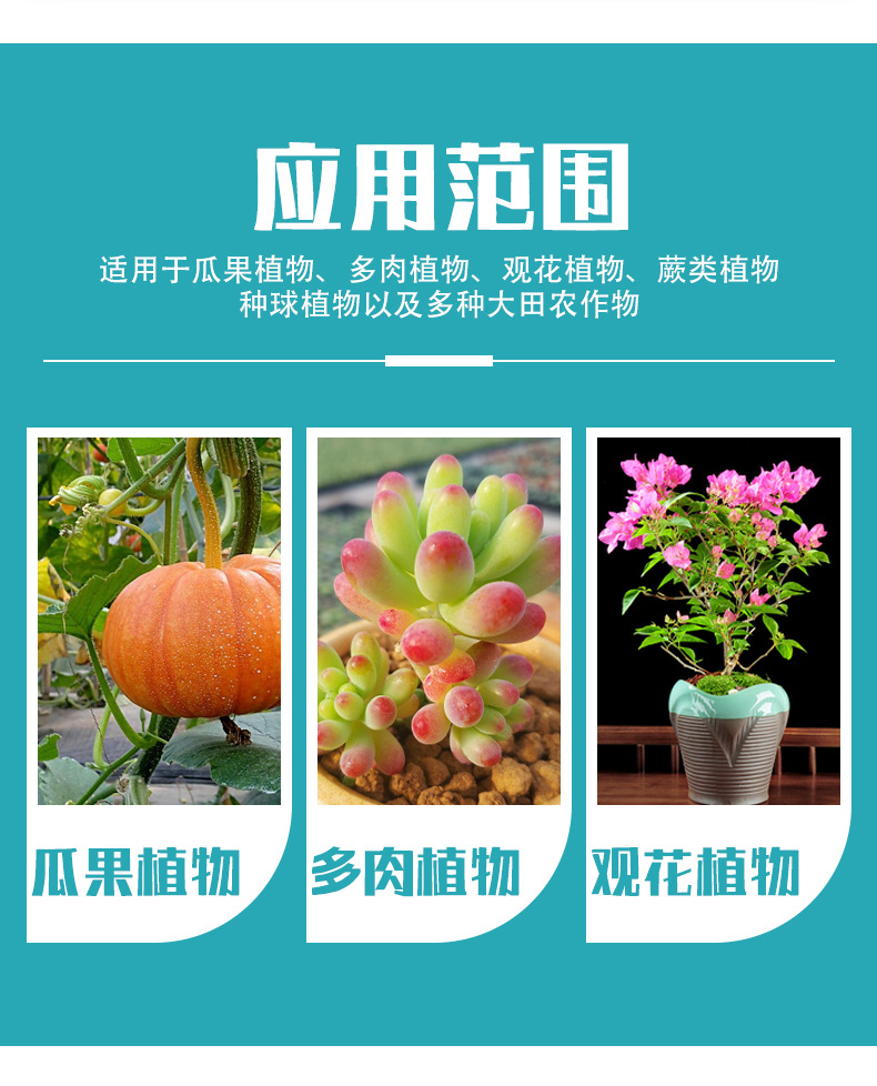 液體氮肥_09