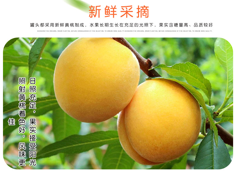 罐頭_06