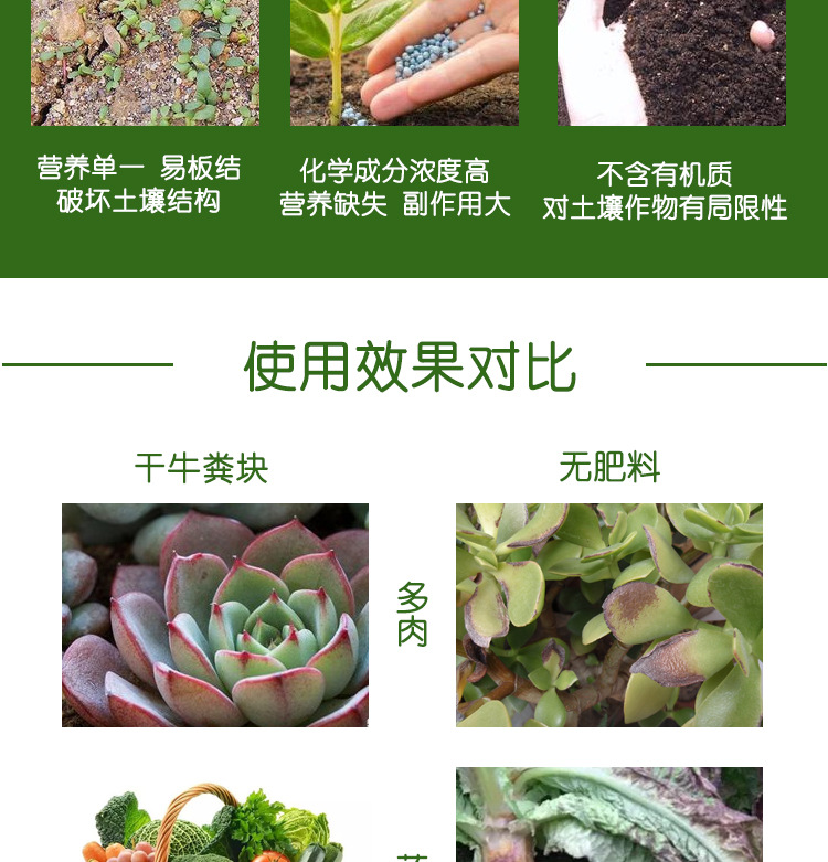 曬干牛糞_06.jpg
