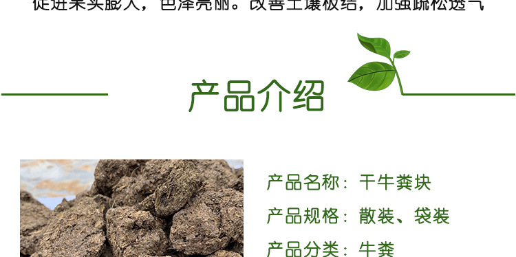 曬干牛糞_04.jpg