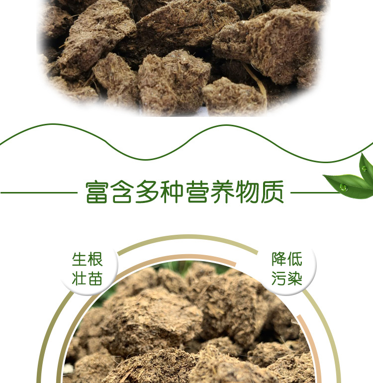 曬干牛糞_02.jpg