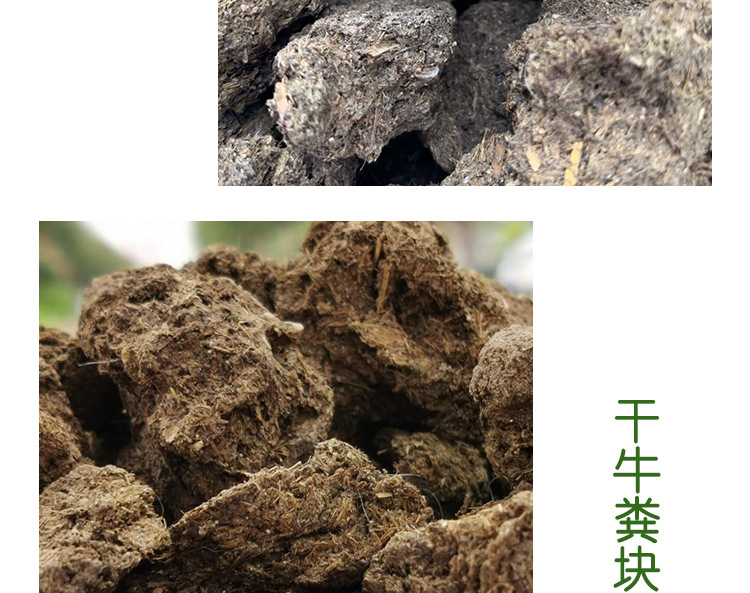 曬干牛糞_12.jpg
