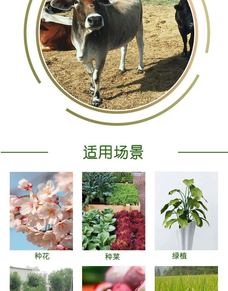柱狀有機(jī)肥詳情_09.jpg