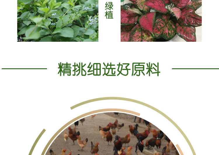 精致有機肥詳情_08.jpg
