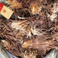 魷魚須 干魷魚 山東魷魚 可泡發(fā) 大個頭 產地貨