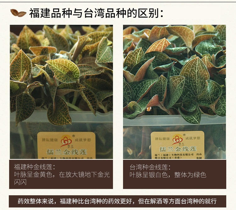 更改后詳情1_09
