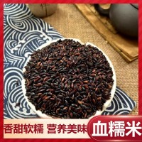 正宗血糯米紫米新米包粽子飯團(tuán)專用美味軟糯香甜黑糯米黑米大米