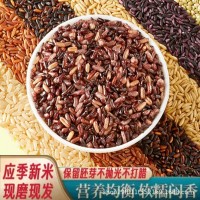 七色糙米五谷雜糧香甜軟糯500g獨(dú)立真空包裝代餐主食
