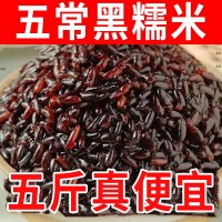 東北黑糯米血糯米農(nóng)家自種黑米粥粽子飯團新米粗雜糧黑米當季