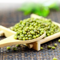 東北綠豆批發(fā)農(nóng)家自產(chǎn)原生態(tài)五谷雜糧綠豆顆粒飽滿真空包裝現(xiàn)貨