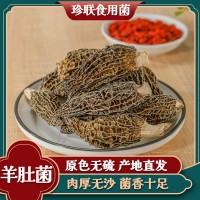 古田特產羊肚菌干貨剪腳精選羊肚菌菌菇湯煲湯食材食用菌產地批發(fā)