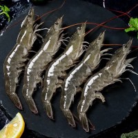 鹽凍大蝦白蝦海蝦單凍冷凍大蝦對(duì)蝦燒烤水產(chǎn)南美凍蝦厄瓜多爾白蝦