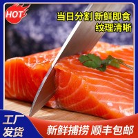 新鮮挪威三文魚日料刺身冰鮮刺身日料食材國產(chǎn)三文魚虹鱒魚腩批發(fā)