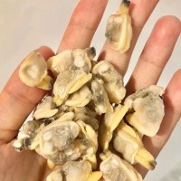 花甲肉蛤蜊肉無(wú)沙花甲肉文蛤貝殼肉嘎啦肉海產(chǎn)無(wú)沙黃蜆子蛤蜊肉
