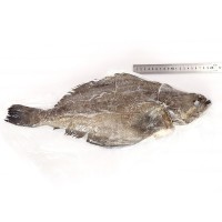 格陵蘭比目魚新鮮整條冷凍鴉片魚深海鮮活鰈魚海鮮水產(chǎn)大鰈魚包郵