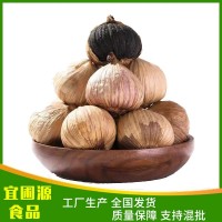 黑蒜獨(dú)頭黑蒜金鄉(xiāng)特產(chǎn)發(fā)酵即食煲湯批發(fā)零售軟糯酸甜黑大蒜